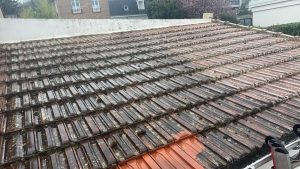 WhatsApp Image 2024-05-27 at 19.44.27