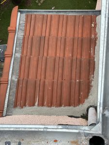 WhatsApp Image 2024-05-27 at 19.44.32 (18)