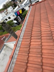 WhatsApp Image 2024-05-27 at 19.44.32 (21)