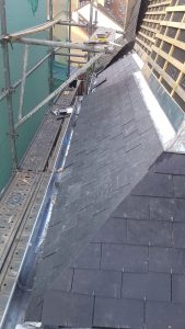 WhatsApp Image 2024-05-27 at 19.49.14 (2)